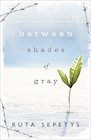 Between Shades of Gray