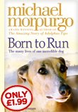 Born to Run - Only £1.99!
