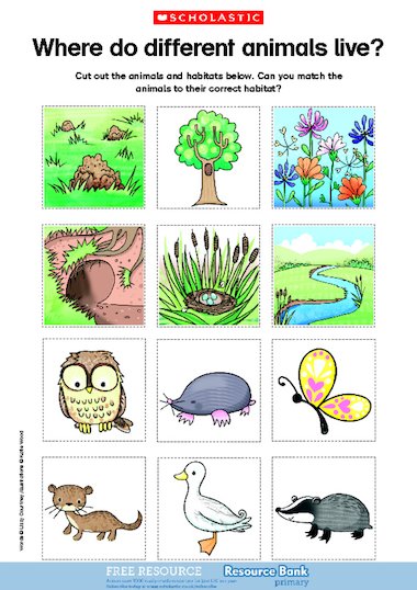 the correct to ks1 habitat Invite  animals  habitats worksheets to children up match animal their the
