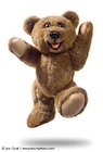 Crafty bears