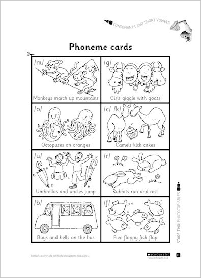 Phoneme cards - Scholastic Shop