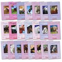 Pony Pals Paradise Pack