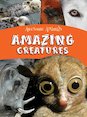 Amazing Creatures
