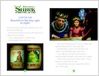 Shrek Forever After - Sample Chapter