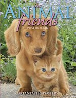 Animal Friends Poster Book