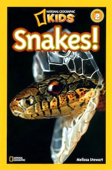 Snakes!