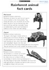 Rainforest fact cards