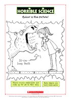 Horrible Science: Colour the Hippo