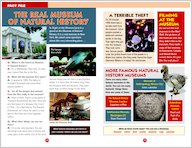 ELT Reader: Night at the Museum Fact File