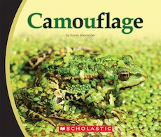 Guided Readers: Camouflage Pack of 6