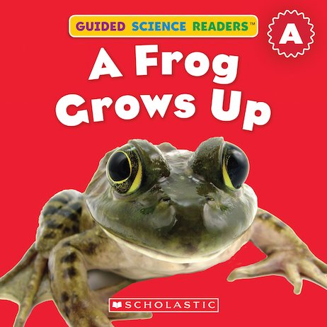 Unlocking the Wonders of Science – The Power of Guided Science Readers