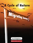 Set of 6 - Migrating Journeys