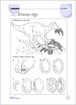 Theme 7: Dinosaur eggs