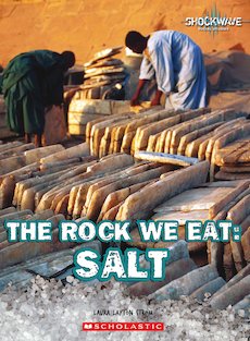 The Rock We Eat - Salt