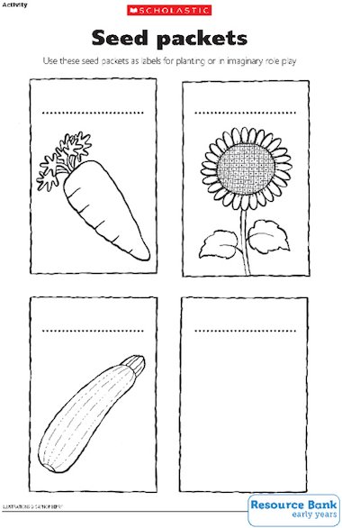 Seed packets – Early Years teaching resource - Scholastic