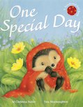 One Special Day