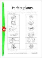 Perfect plants
