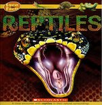 Face to Face Reptiles