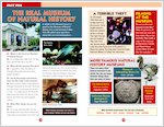 ELT Reader: Night at the Museum Fact File