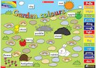 Garden Colours