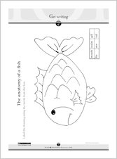 Anatomy of a Fish activity