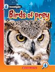 Pack of 6 - Birds of Prey