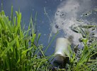 World Environment Day
