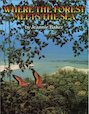 Where The Forest Meets The Sea