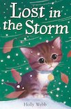 Lost in the Storm