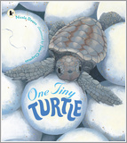 One Tiny Turtle