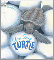One Tiny Turtle
