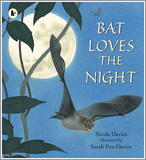 Bat Loves The Night