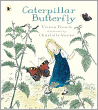 Caterpillar Butterfly