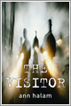 The Visitor
