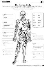 Science: The human body - Mary Glasgow Magazines