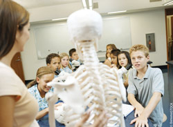 science lesson science lesson