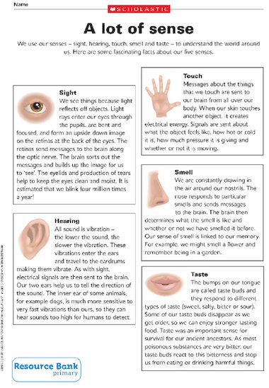 the-five-senses-fact-sheet-primary-ks2-teaching-resource-scholastic