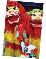 Chinese new year Chinese new year