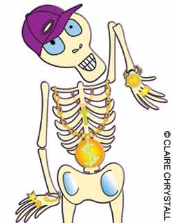 boneyardrap.jpg boneyardrap.jpg