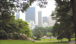 City scape City scape