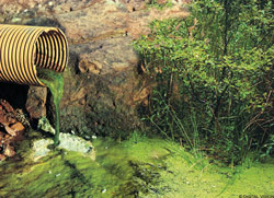 sewerage sewerage