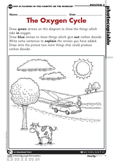 The oxygen cycle Primary KS2 teaching resource Scholastic