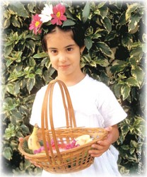 Shavuot Shavuot