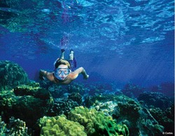 100729_seasonal-sea_pho.jpg 100729_seasonal-sea_pho.jpg