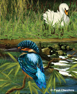 Riverbank illustration Riverbank illustration