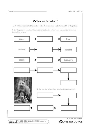 Food chain homework ks2 image