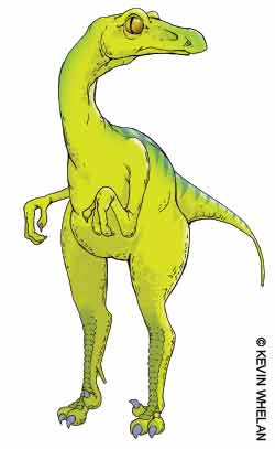 troodon.jpg troodon.jpg