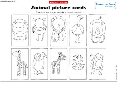 Animal picture cards – FREE Early Years teaching resource - Scholastic