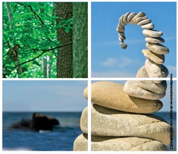 Montage of forest and pebble sculpture Montage of forest and pebble sculpture