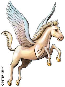 pegasus.jpg pegasus.jpg